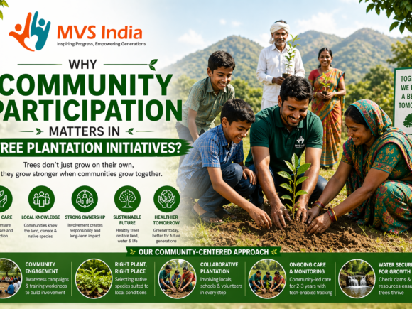Why Community Participation Is Key to Successful Tree Plantation Drives?